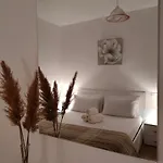 Casa Del Duca *