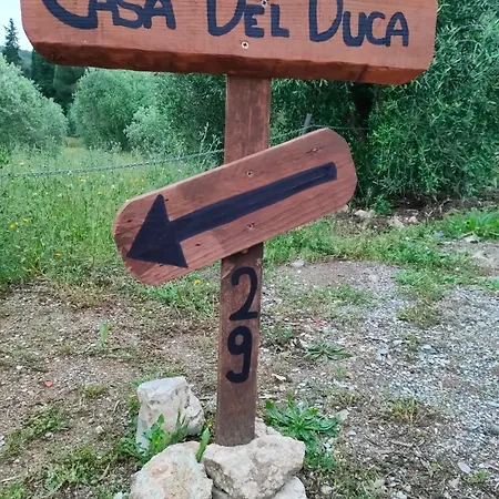 Casa Del Duca 费拉约港