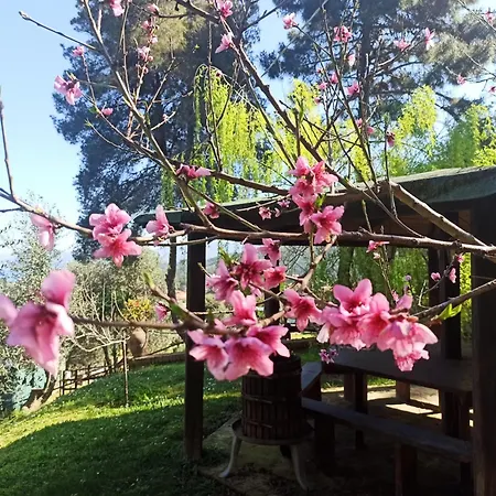 Casa Del Duca Lejlighed *