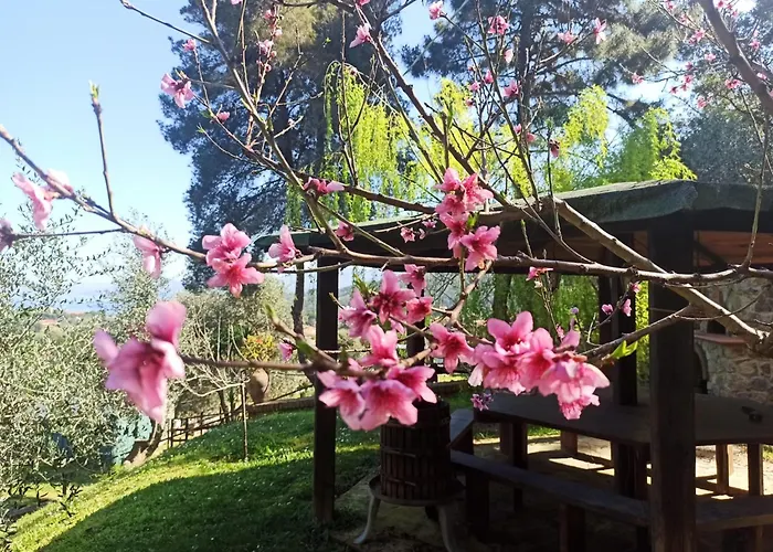 Casa Del Duca Appartamento *